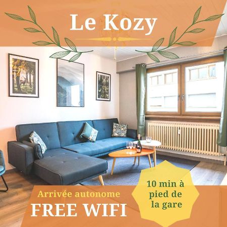 Le Kozy - Wifi - Centre Ville - Proche Commerces Sarrebourg Dış mekan fotoğraf