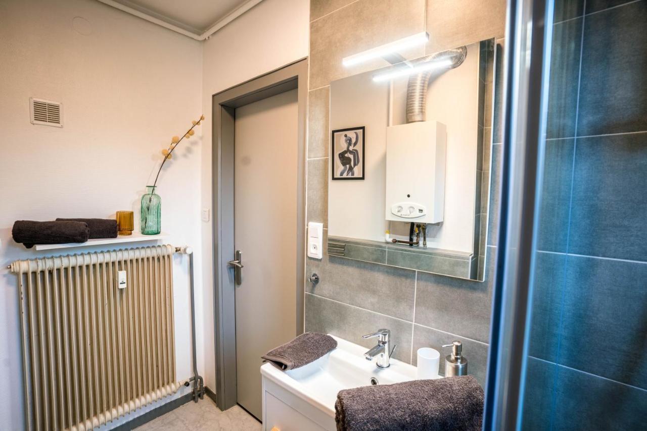 Le Kozy - Wifi - Centre Ville - Proche Commerces Sarrebourg Dış mekan fotoğraf